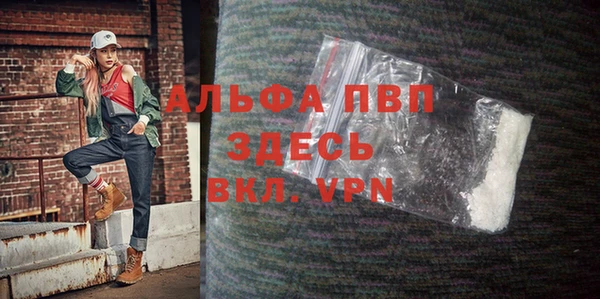 ECSTASY Яровое