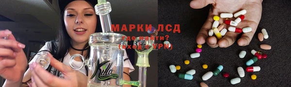 сатива Бугульма