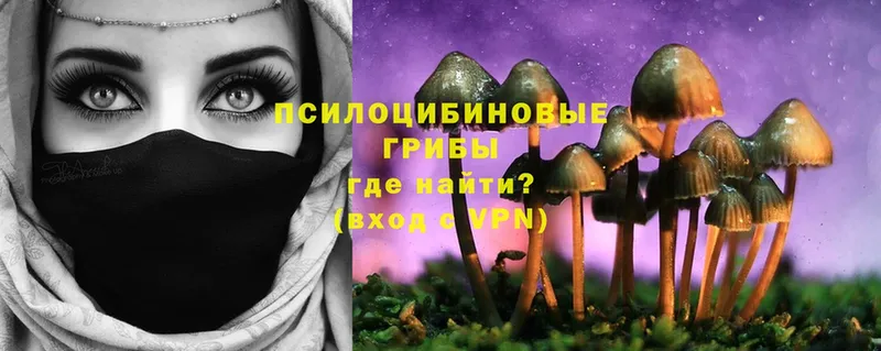 Псилоцибиновые грибы мухоморы  OMG ссылки  Венёв 