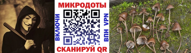 магазин продажи наркотиков  Венёв  Галлюциногенные грибы мицелий 