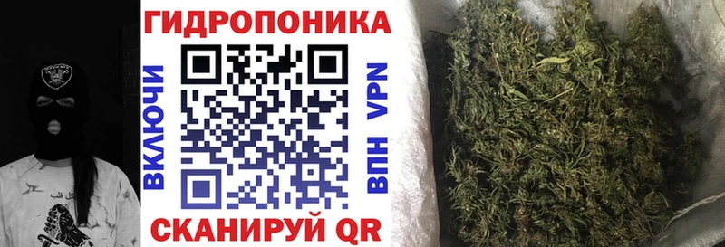 Бошки Шишки сатива  Венёв 
